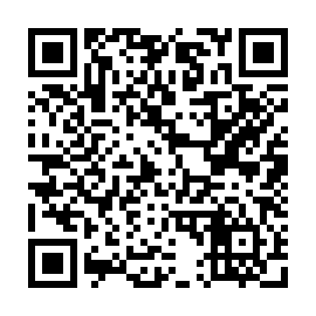 QR code for E43384