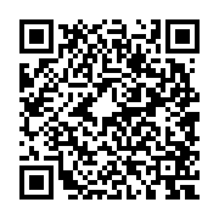 QR code for E446467