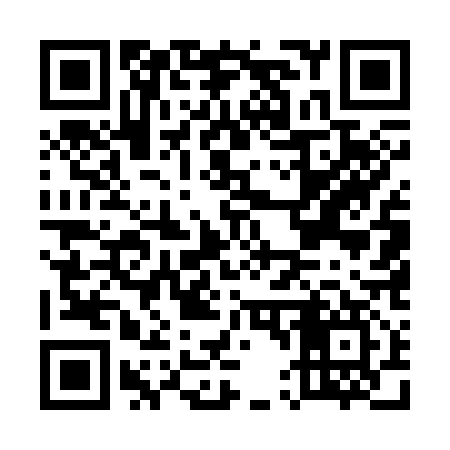 QR code for E45317