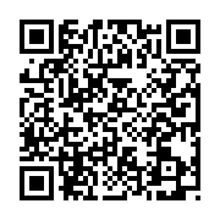 QR code for E455334
