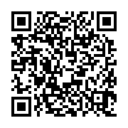 QR code for E46380