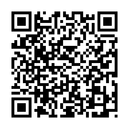 QR code for E481394