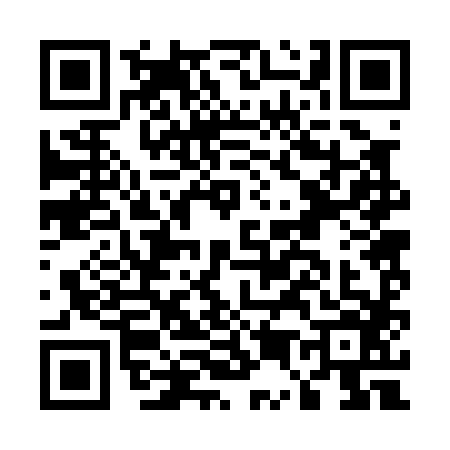 QR code for E520868