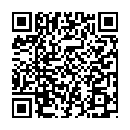 QR code for E529708