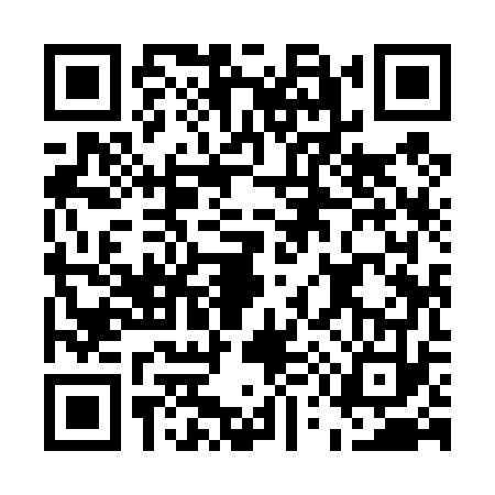 QR code for E594733