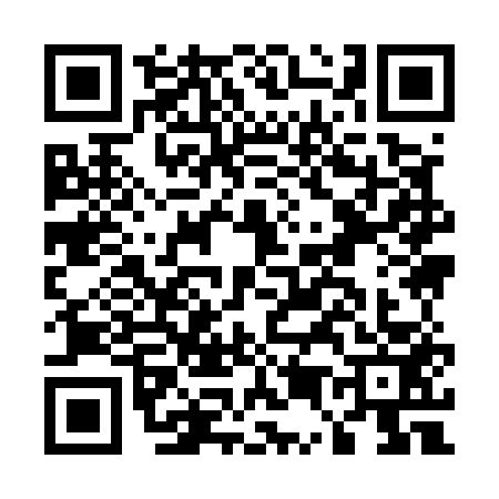 QR code for E595539