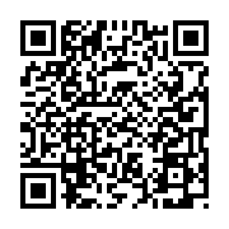QR code for E597486