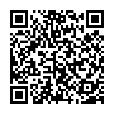 QR code for E65438