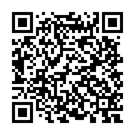 QR code for E87513