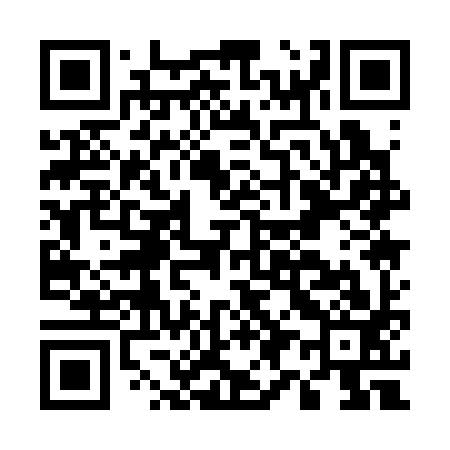 QR code for E91393