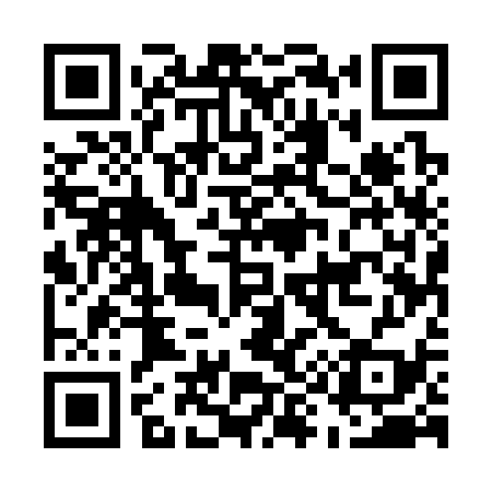 QR code for E95339