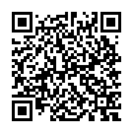 QR code for E95375