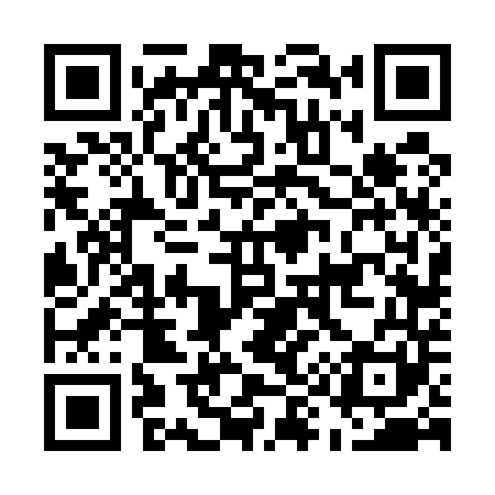 QR code for E96541
