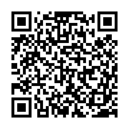 QR code for ECE463