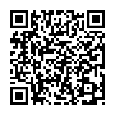 QR code for EG85738