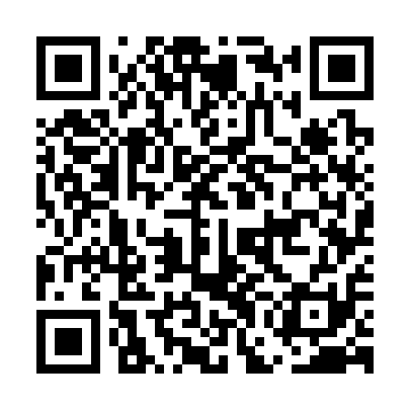 QR code for EGG311