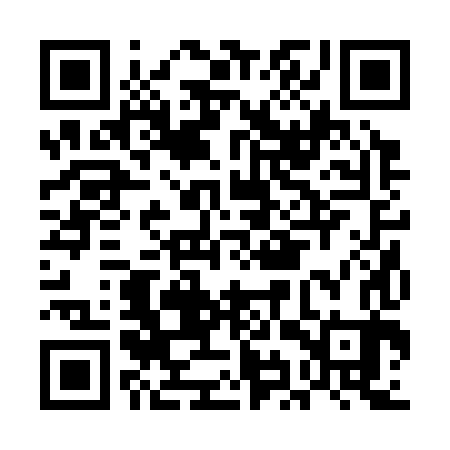 QR code for EIR383