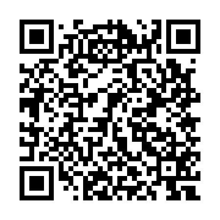 QR code for ELE155