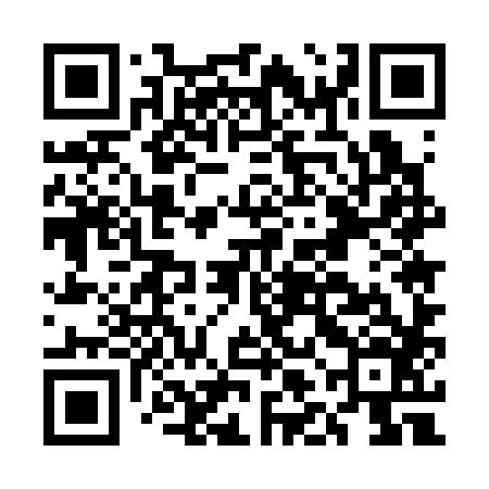 QR code for ELE386