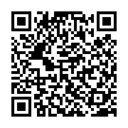 QR code for ELE428