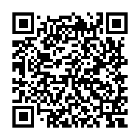QR code for ELE991