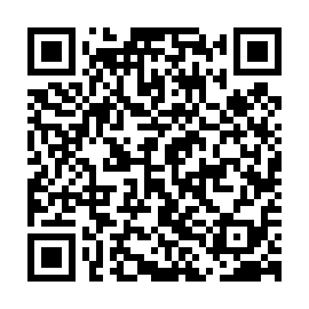 QR code for ELF419