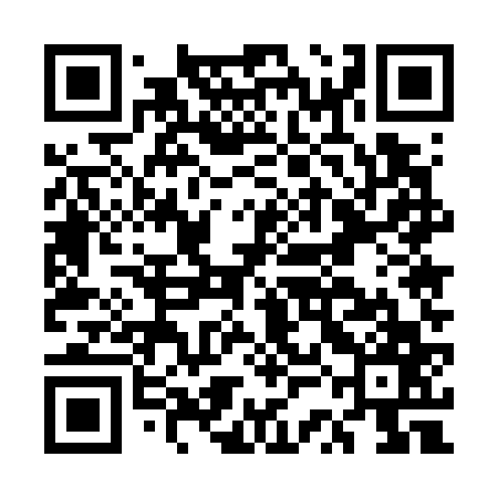 QR code for ESE767