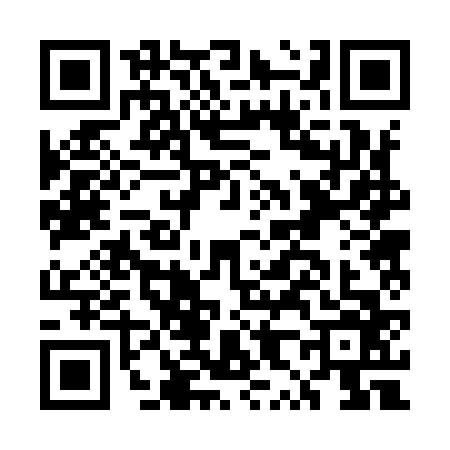 QR code for EX29667