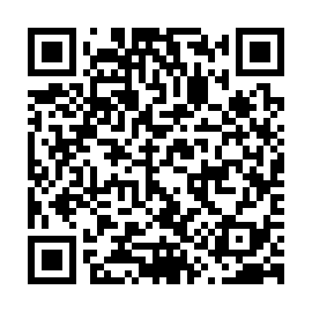 QR code for F13339