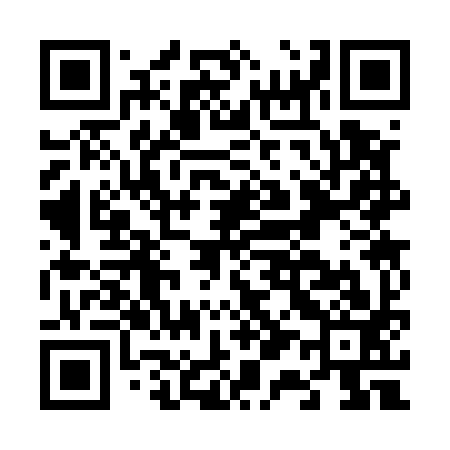 QR code for F13593