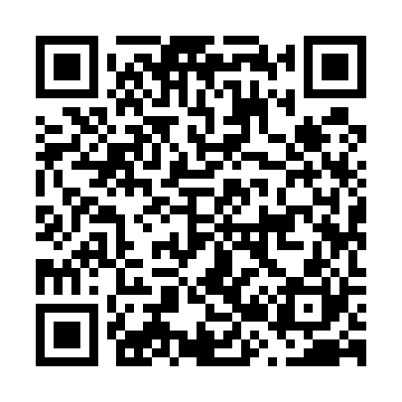 QR code for F29520