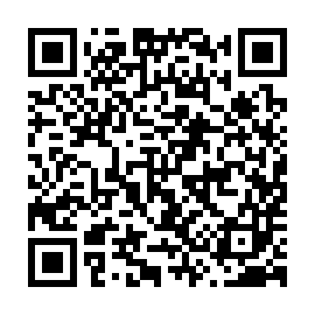QR code for F31383