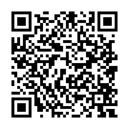QR code for F381479
