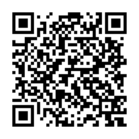 QR code for F38533