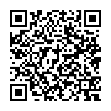 QR code for F387334