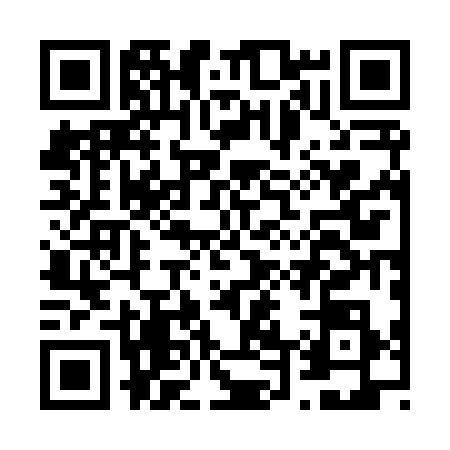 QR code for F428381