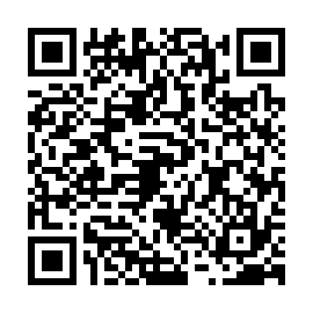 QR code for F453379
