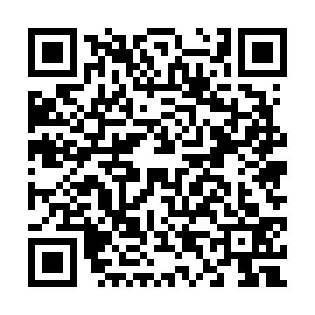 QR code for F456338