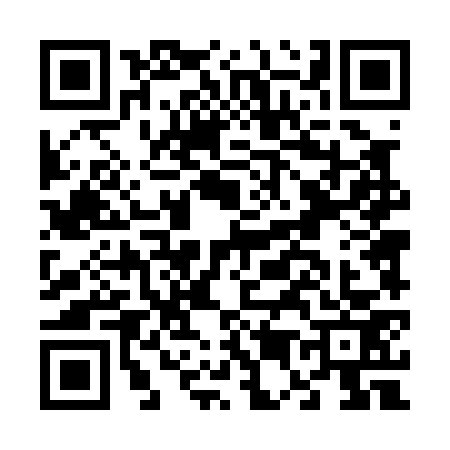 QR code for F540738