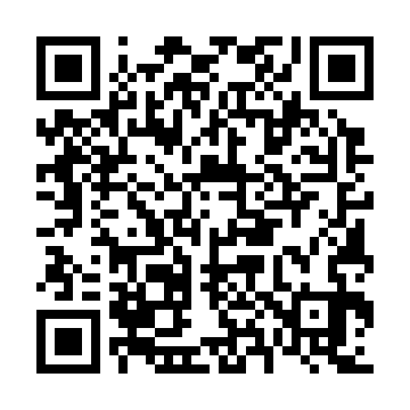 QR code for F85333