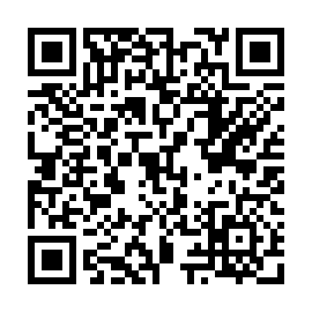 QR code for F993163