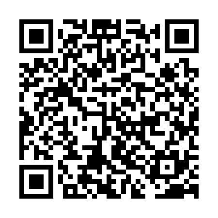 QR code for FDI335