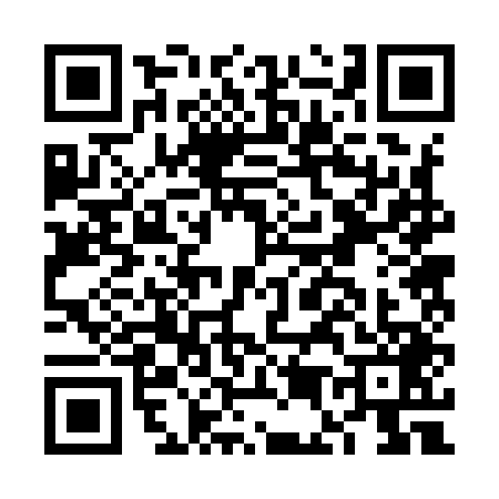 QR code for FE29494
