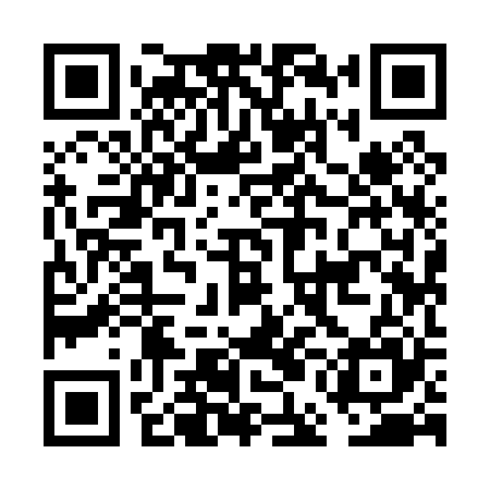 QR code for FEI025