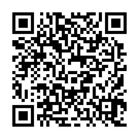 QR code for FEI304