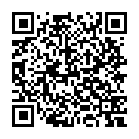 QR code for FEI779