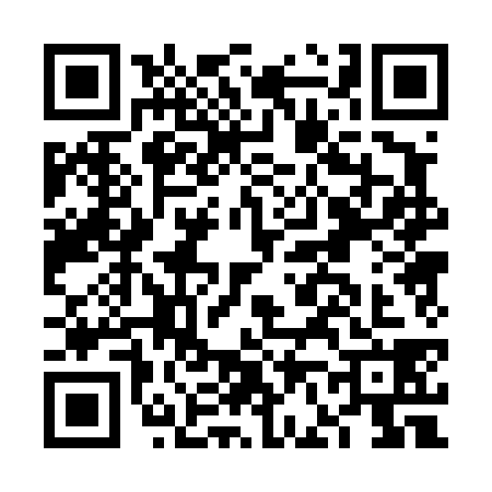 QR code for FF04380