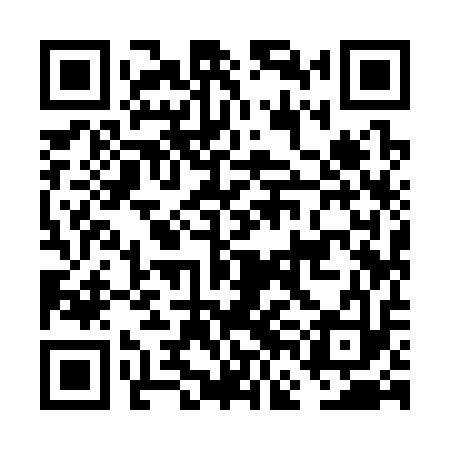 QR code for FFI313