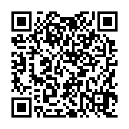 QR code for FFX384
