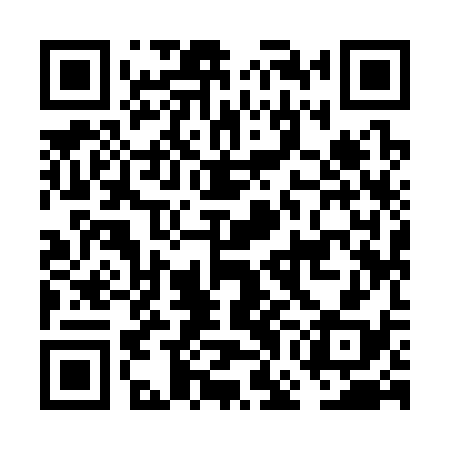 QR code for FGI338